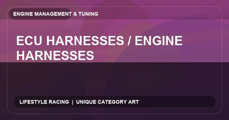 ECU Harnesses / Engine Harnesses
